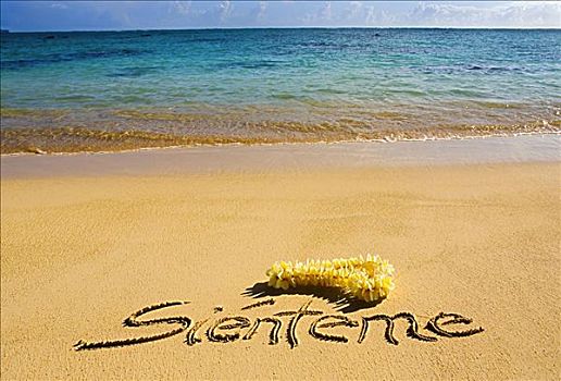 夏威夷,瓦胡岛,书写,沙子,黄色,鸡蛋花,花环,青绿色,海洋