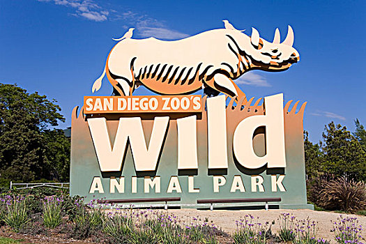仰视,标识,动物园,圣地亚哥,野生动物,公园,圣地亚哥县,加利福尼亚,美国