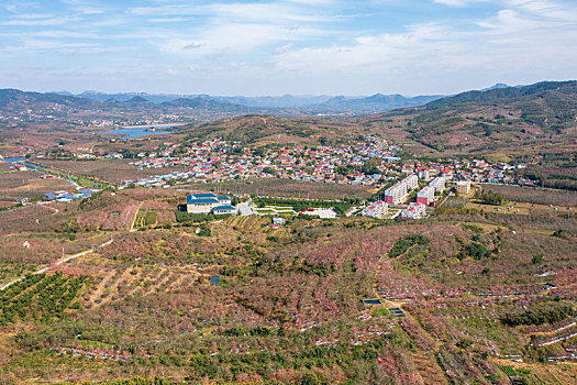 航拍沂蒙山区乡村果园