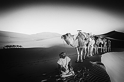 撒哈拉沙漠的记忆