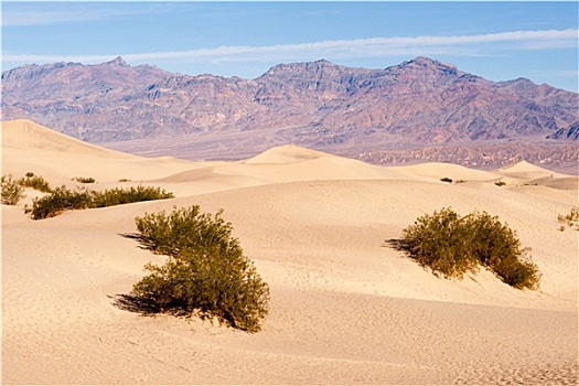沙丘,死谷,沙漠,葡萄藤,山