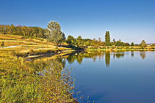 蓝湖,绿色,风景