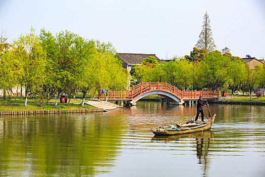 海曙,古林镇,河道,绿荫,柳树,西洋港村,水,五水共治,夏天,树木,天空