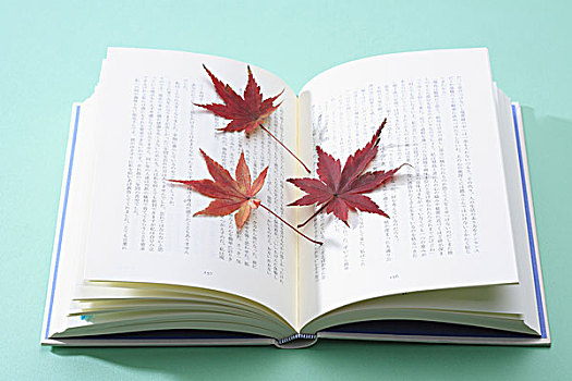 maple,bookmark