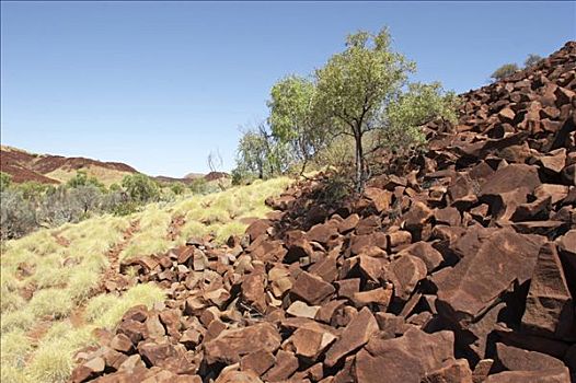 石头,黑色,山,区域,西澳大利亚