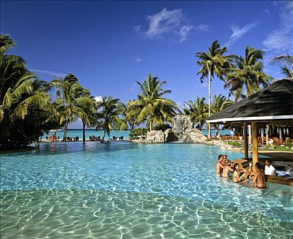游泳池,水池,酒吧,海洋,棕榈树,太阳,岛屿,阿里环礁,马尔代夫,印度洋