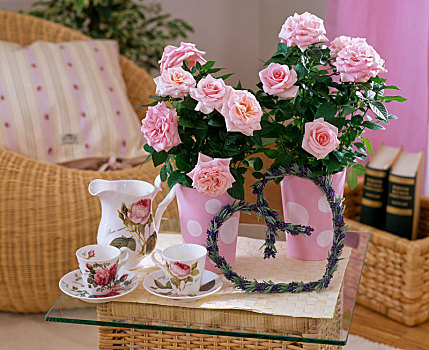 粉色,盆栽,玫瑰