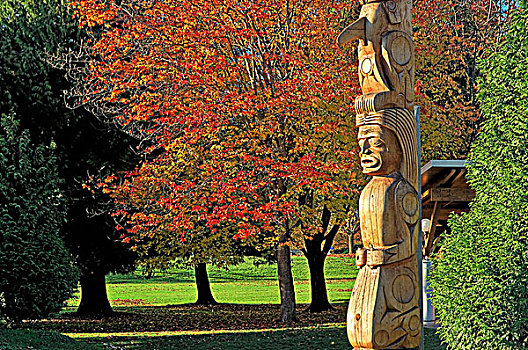 图腾柱,雕刻,国家,2009年,收集,史坦利公园,温哥华,不列颠哥伦比亚省,加拿大