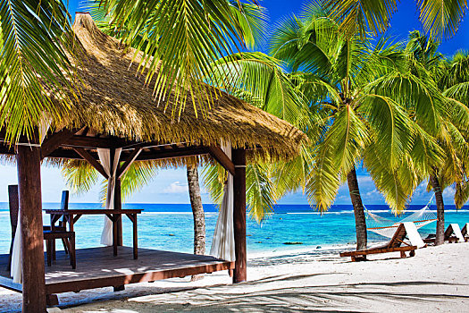 露台,椅子,空,海滩,棕榈树