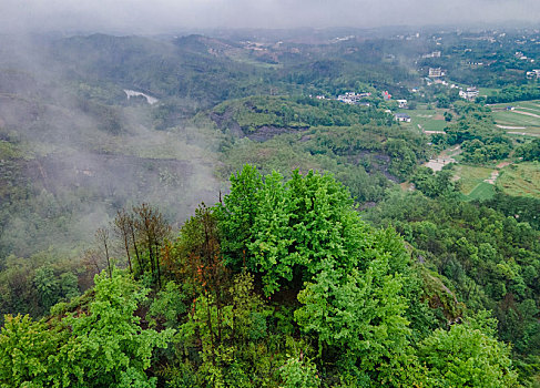 江西赣州于都县宽石寨,雨中丹霞风光秀美,雨雾缭绕山水如画