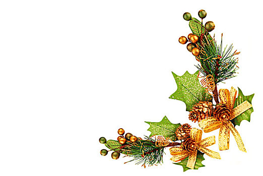 圣诞树,枝条,装饰
