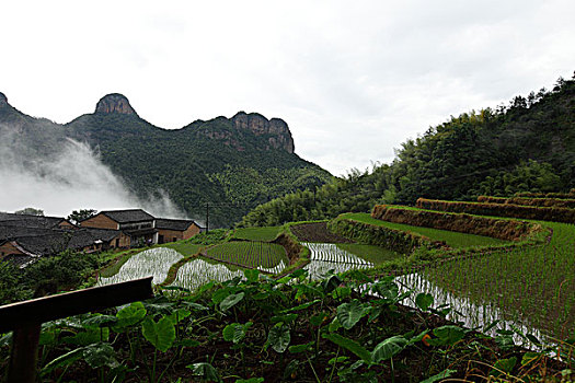 浙江山村风景