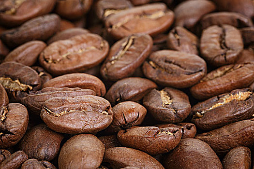 大,阿拉伯咖啡,咖啡豆,特写,照片