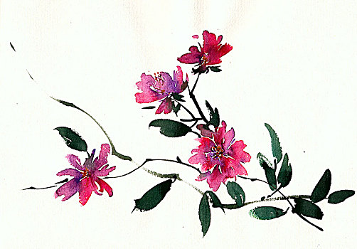 手繪花卉