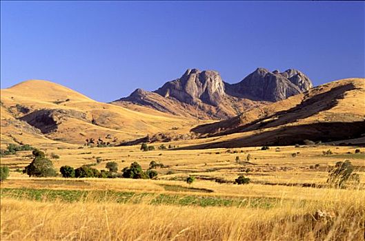 马达加斯加,风景,靠近,朴素,山峦,背影