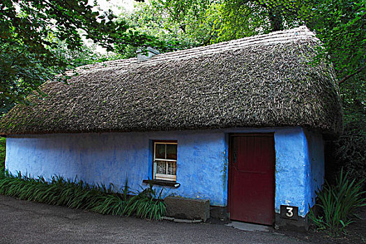 茅草屋顶,屋舍,城堡,民俗,公园,克雷尔县,爱尔兰