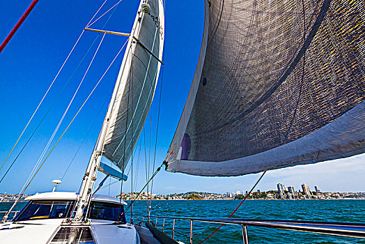 特写,帆船,航行,悉尼港,悉尼,新南威尔士,澳大利亚