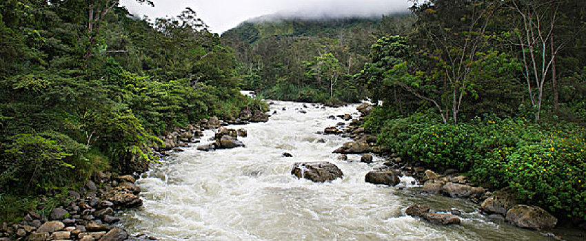 河,西高地,巴布亚新几内亚,大洋洲