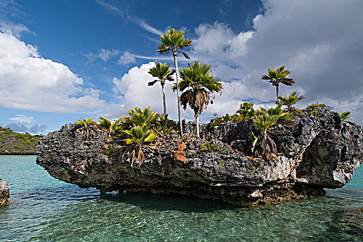 斐济,南方,多,岛屿,景色,泻湖,室内,火山,火山口,蘑菇,小岛,珊瑚,石灰石,形状,吃剩下,小,有机生物,波浪,动作