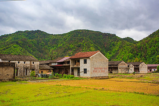 浙江,台州,天台县,龙溪乡,乡村,山村,老房子,田园