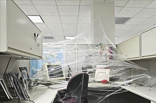 办公室,遮盖,蜘蛛网
