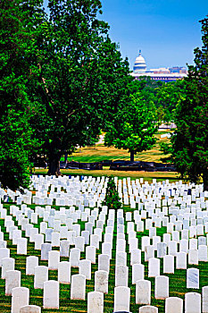 阿灵顿国家公墓,弗吉尼亚,靠近,华盛顿特区,美国