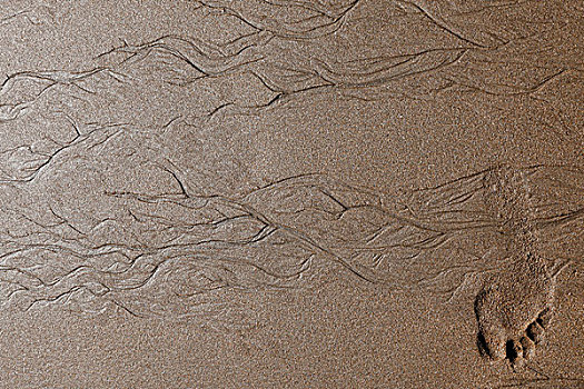 脚印,沙子,痕迹