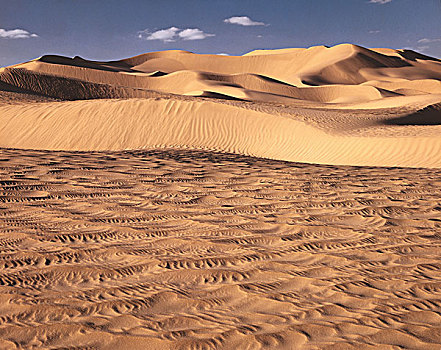 沙漠,撒哈拉沙漠,沙丘