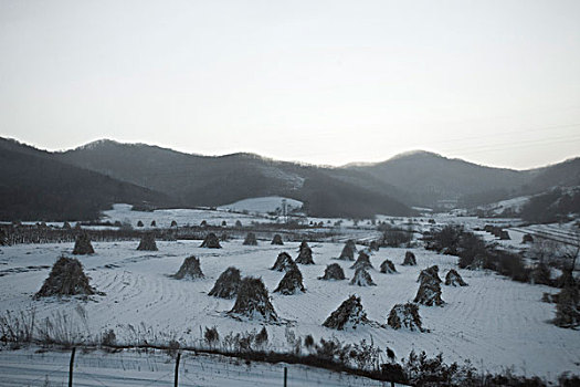 雪野,北方,东北,大雪,原野,土地,冬季,洁白,干净,风景,村庄,农村