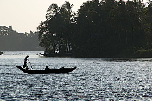 缅甸,一个,男人,站立,驾驶,船,短桨