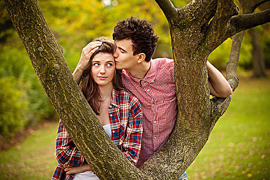 年轻,情侣,吻,树上,公园