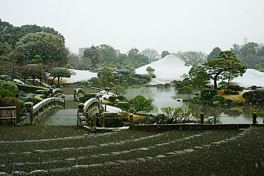 雪,秋天,花园,熊本,日本