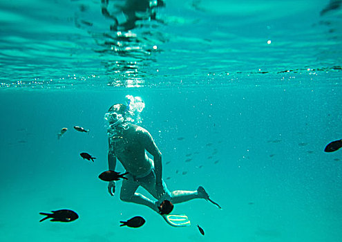 水下视角,男人,海洋,潜水,米诺卡岛,巴利阿里群岛,西班牙