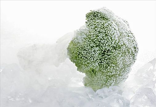冰冻,花椰菜,薄雾