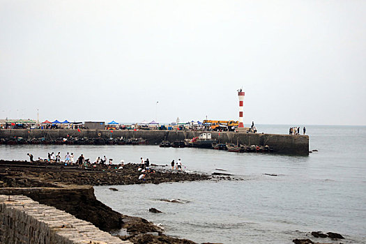 趁着暑期还有余额,游客涌到渔码头抢购海鲜