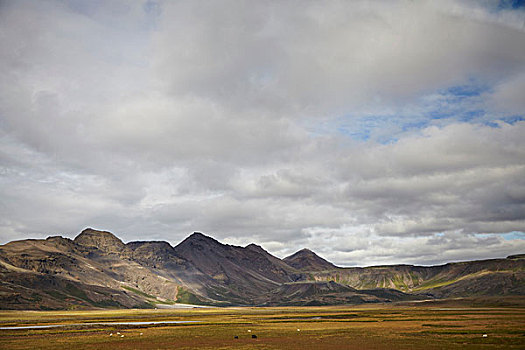 远景,风景,山谷,山,冰岛