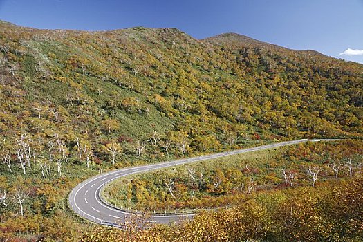 全景,线条