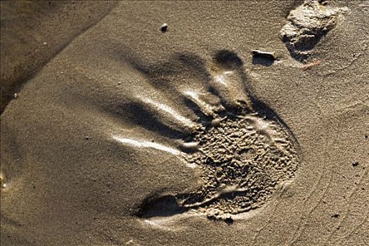 手,痕迹,沙子