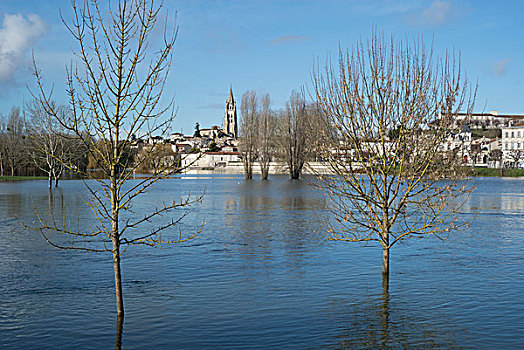 法国,洪水,冬天,二月