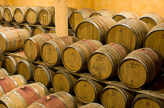橡树,葡萄酒桶,酒窖,蒙大奇诺,托斯卡纳,意大利,欧洲