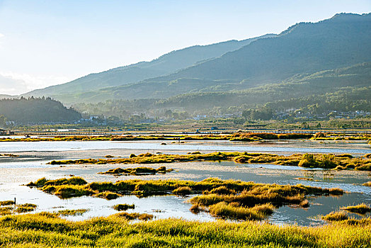 云南省腾冲北海湿地