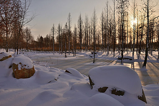 雪景