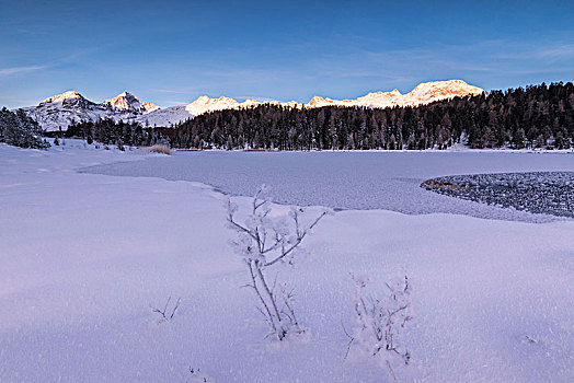 冰冻,湖,圣莫里茨,格劳宾登,恩格达恩,瑞士