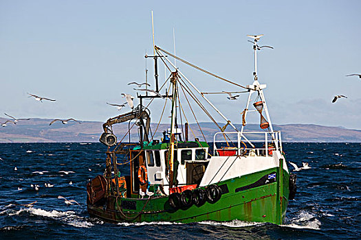 渔船,海鸥