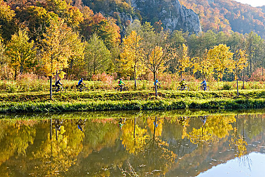 骑车,靠近,秋天,下巴伐利亚,巴伐利亚,德国,欧洲