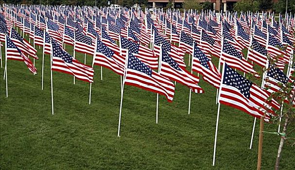 旗帜,美国,911事件,2002年