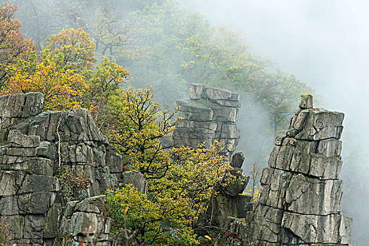 石头,尖顶,雾,哈尔茨山,国家公园,萨克森安哈尔特,德国,欧洲