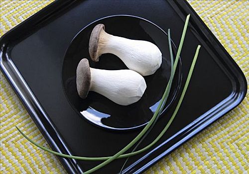 两个,日本,蘑菇,黑色,盘子