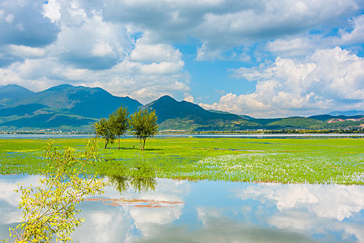 丽江拉市海风光