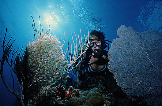 水下视角,女人,深潜,大开曼岛,英属西印度群岛